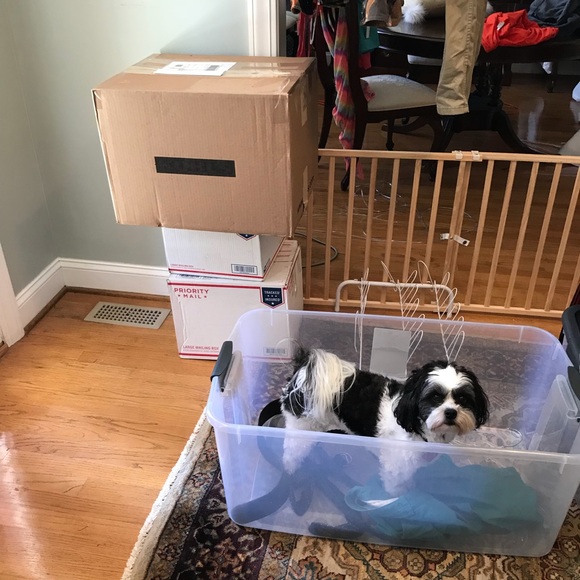 Welcome to my Posh Shop! ❤️ - Picture 5 of 11